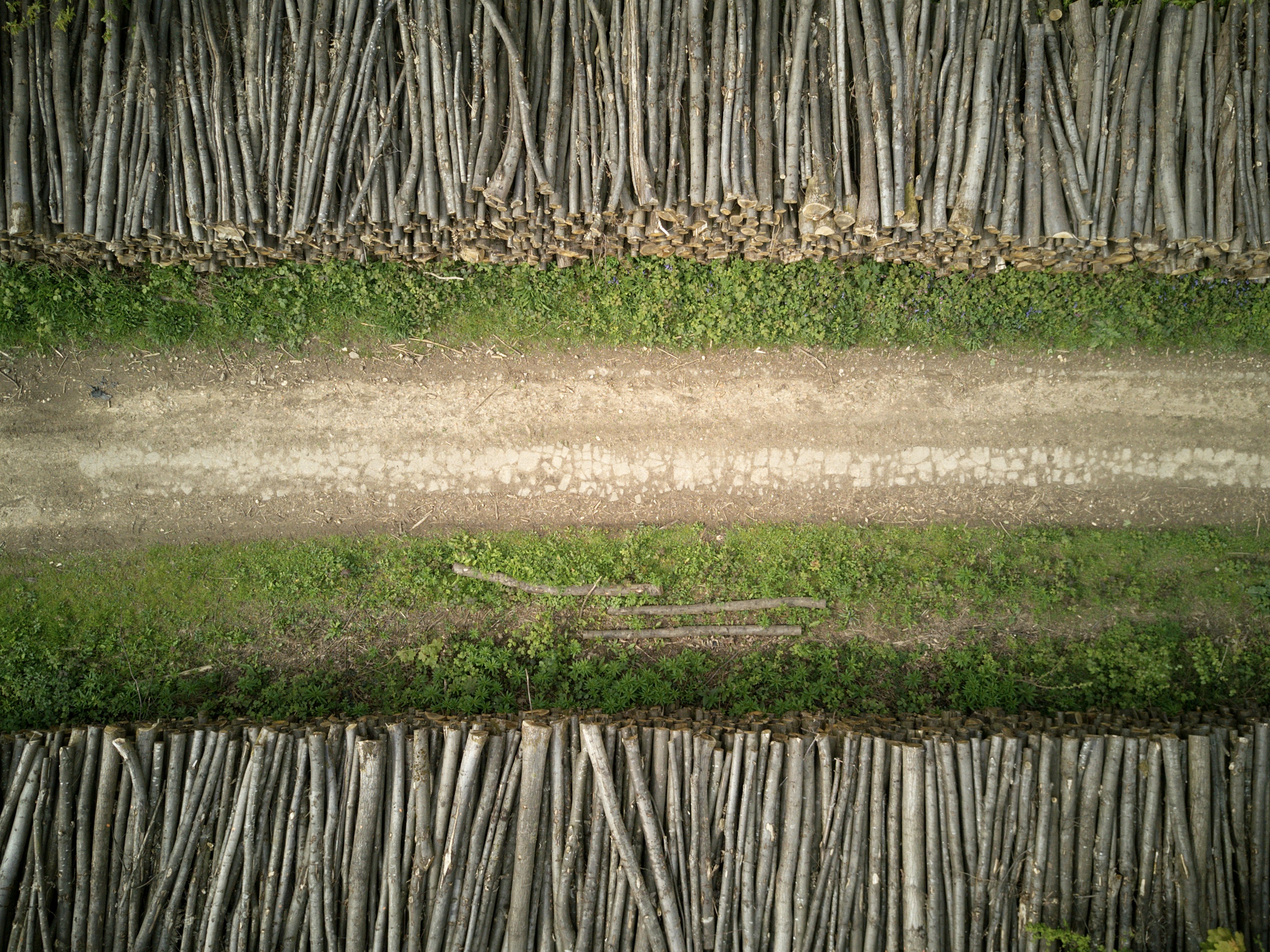 aerial photography road between tree logs